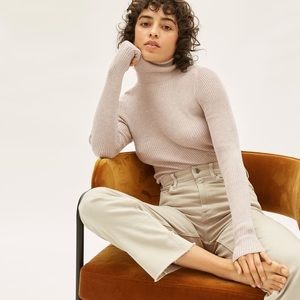 everlane merino wool ribbed turtleneck